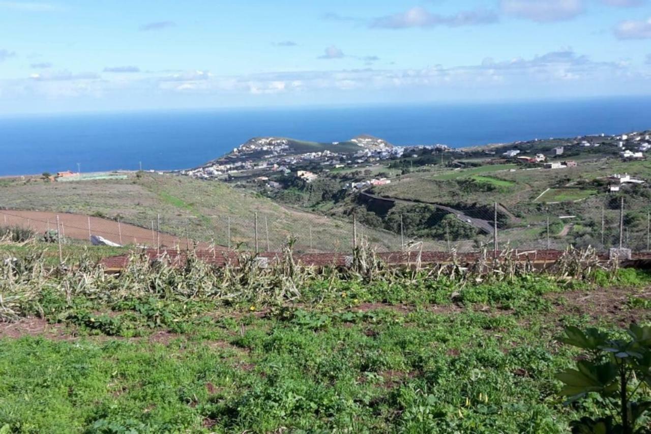 Santa Maria de Guia de Gran Canaria Casa Cueva Villa Aday מראה חיצוני תמונה