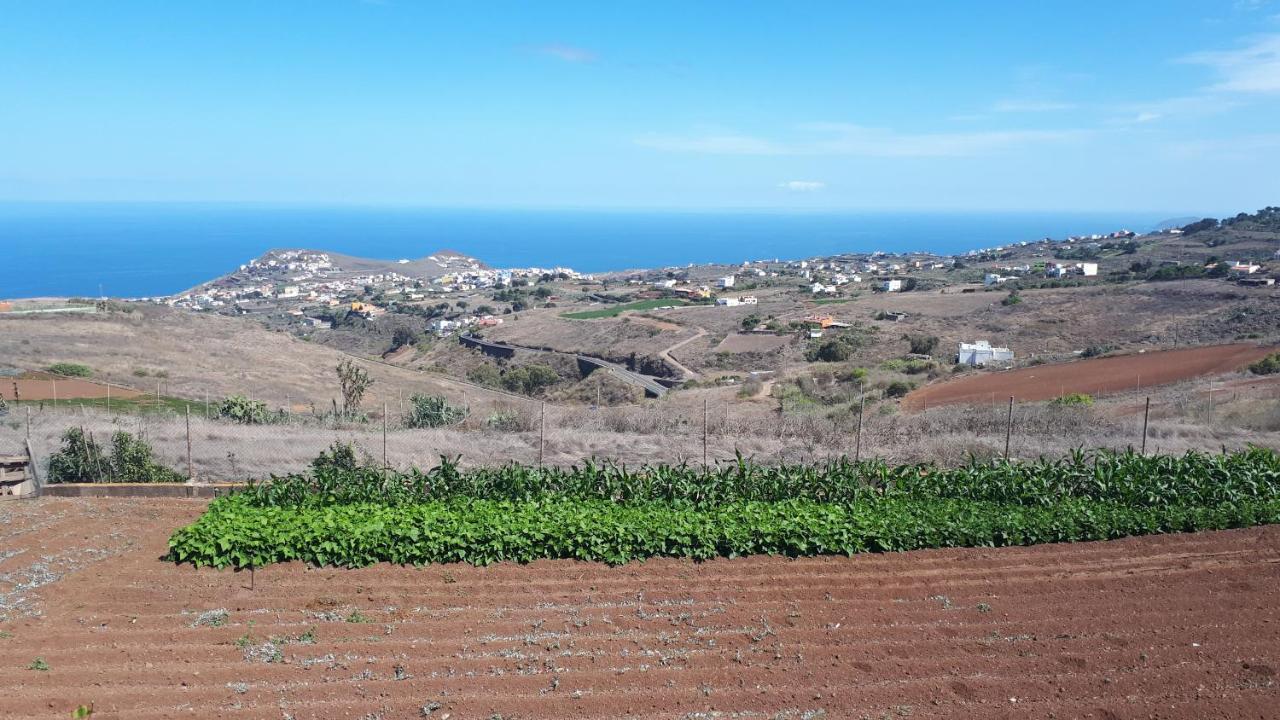 Santa Maria de Guia de Gran Canaria Casa Cueva Villa Aday מראה חיצוני תמונה