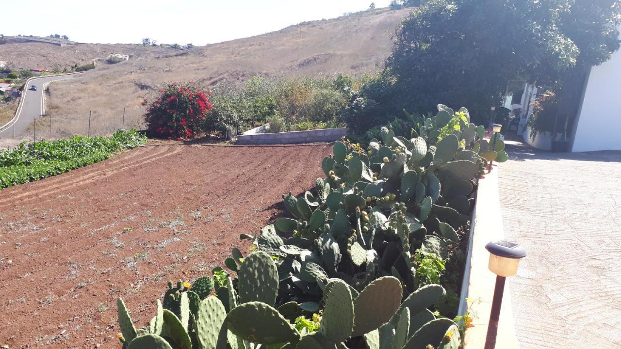 Santa Maria de Guia de Gran Canaria Casa Cueva Villa Aday מראה חיצוני תמונה